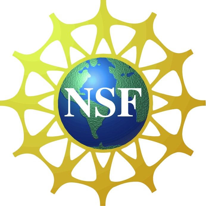 NSF Logo color.jpg